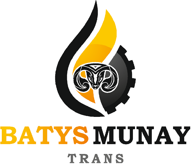 Батыс энергоресурсы. Организиционная структура тоо батыс су арнасы. Газотурбинная электростанция молжаниновка. Тоо батыс продукт. Тоо батыс.