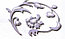 Цептер скатерть ROMA белая на 6 персон + салфетки, фото 2