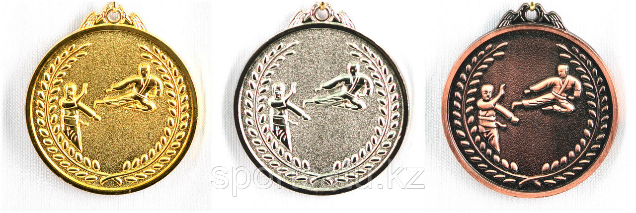 Медаль спортивная для каратэ - фото 1 - id-p25167044