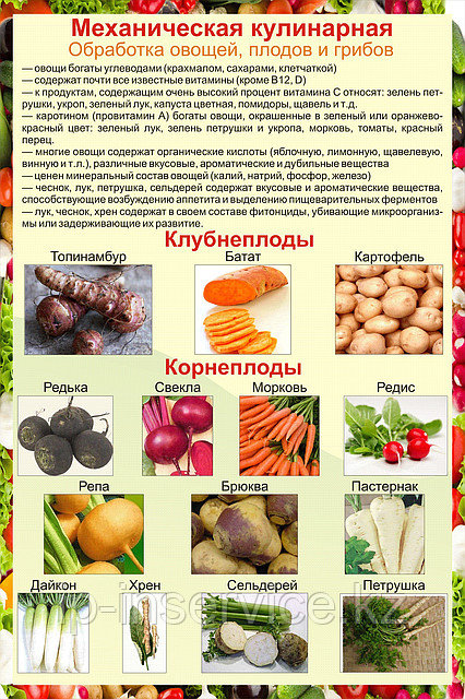 Плакаты Механическая обработка овощей