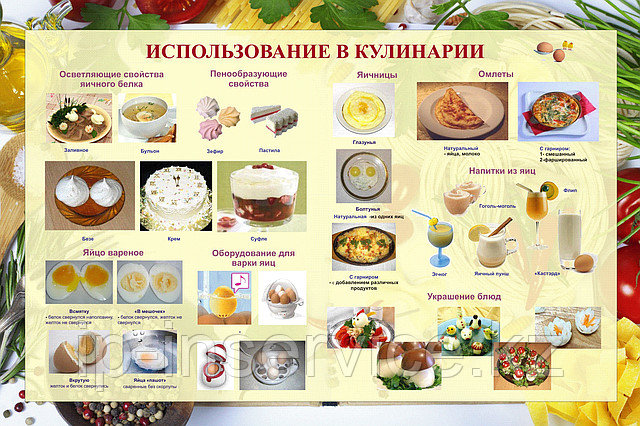 Плакаты Приготовление блюд из яиц - фото 2 - id-p1195218