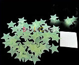 Звезды - ночники для потолка и стен (100 шт.) , фото 4