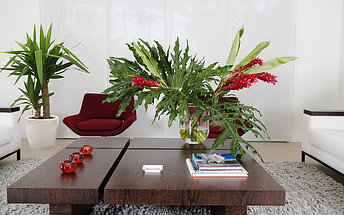 Вазоны в интерьере