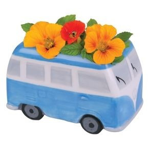 Набор для выращивания Flower Power