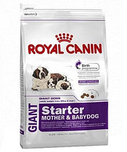 Royal Canin Giant Starter M&B, Роял Канин Джаинт Стартер, начальный корм для щенков крупных пород, уп. 4 кг