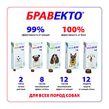 Bravecto, Бравекто жевательная таблетка для собак весом 2-4,5 кг., 112,5мг, фото 3