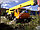 Автомобильный кран Галичанин КС-4572А, грузоподъемностью 16 т, шасси , стрела 21,7 метров, фото 7