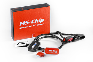 Ms-Chip