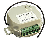Радиокарта двухканальная 9-24В Intro II 8517 UPM
