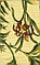 Портьерная ткань для штор и обивки, гобелен с цветочным узором, фото 4