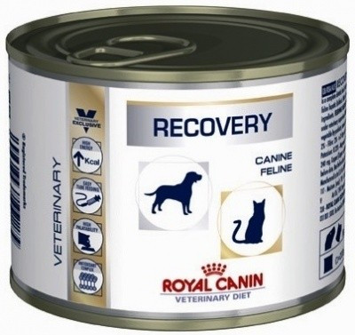 Royal Canin Recovery Canin & Feline консервы для собак и кошек в период анорексии, выздоровления, банка 195 гр