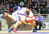 Кимоно для Казакша курес Firuz оригинал