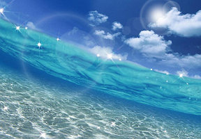 ФОТОГАЛЕРЕЯ В ПОДРАЗДЕЛЕ "О НАС"