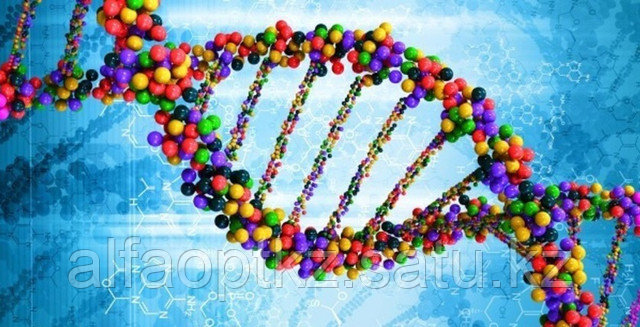Создан диод на основе молекулы ДНК