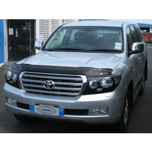 Защита фар Toyota Land Cruiser 200 2007-2011 с чёрным рисунком - фото 1 - id-p28785977