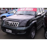 Защита фар Toyota Land Cruiser Prado 120 2003-2008 тёмная