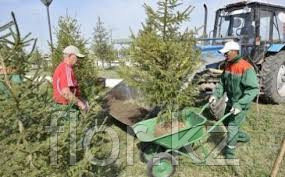 Высадка уличных деревьев, газонов, кустарников и цветников