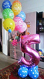 Фигуры из шаров в Павлодаре (Оформление дня рождения), фото 2
