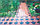 Клевер краковский (Большой,малый) Ромашка , фото 4