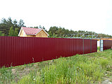 Заборы из профнастила с полимерным покрытием Алматы, фото 2