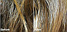 Интенсивное средство для восстановления волос (аргановое масло) Tony Moly Make HD Silk Argan Oil, фото 2