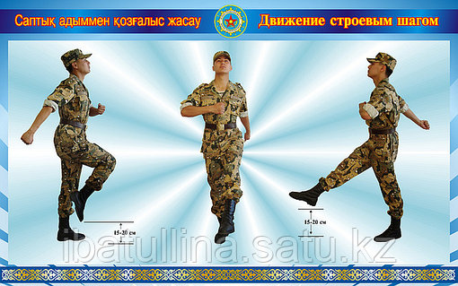 Олар Аняны есекке түсіреді