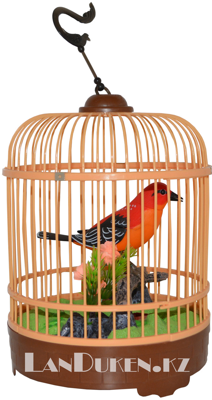 Интерактивная поющая птица в клетке HL 507 B (музыкальная игрушка) - фото 1 - id-p29001476