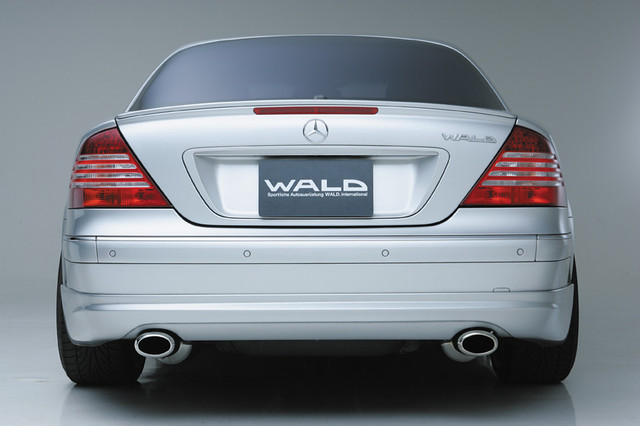 Оригинальный обвес WALD Executive Line '03 на Mercedes-Benz CL W215 - фото 3 - id-p1703007