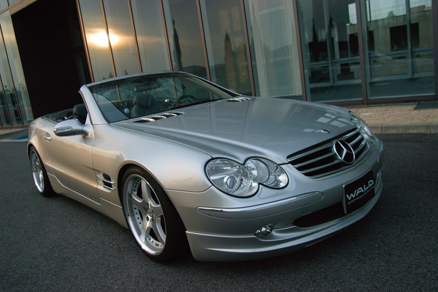 Оригинальный обвес WALD Executive Line ~'06 на Mercedes-Benz SL R230 - фото 2 - id-p1709784