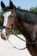 Уздечки и оголовья, детали, трензеля, блиндера, наушники.