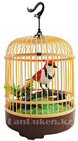 Интерактивная поющая птица в клетке HL 507 Е (музыкальная игрушка)