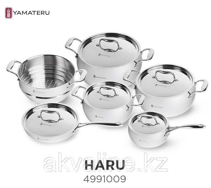 Haru PROFESSIONAL (Haru)