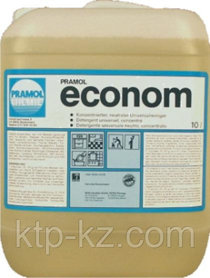 Концентрированное моющее средство ECONOM 10л (1:200)