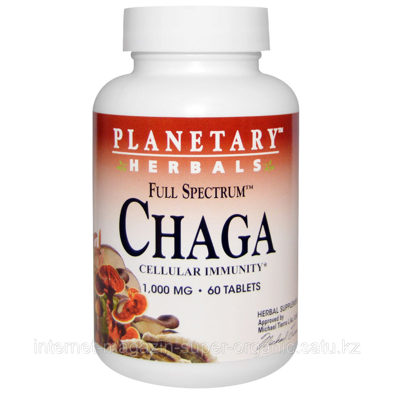 Чага (березовый гриб) (Full Spectrum, Chaga), 1000 мг, 60 таблеток, Planetary Herbals