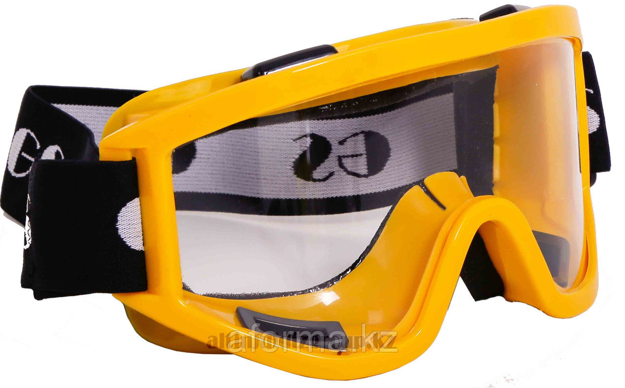 Очки защитные GS 550