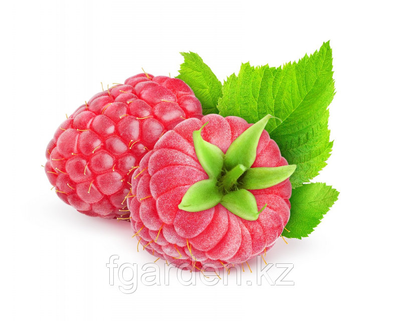 Милф үйрету порно видео