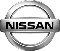 Тормозные диски Nissan Murano (03-13, задние, Blue Print)