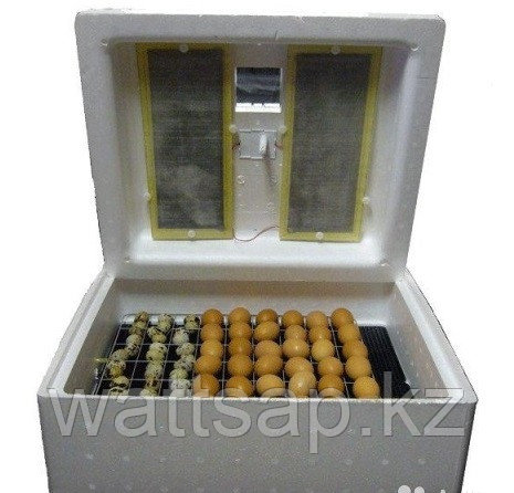 Инкубатор Несушка на 104 яиц с автопереворотом - фото 2 - id-p30990145
