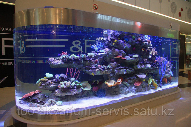 Изготовление аквариумов под ключ - фото 1 - id-p26258684