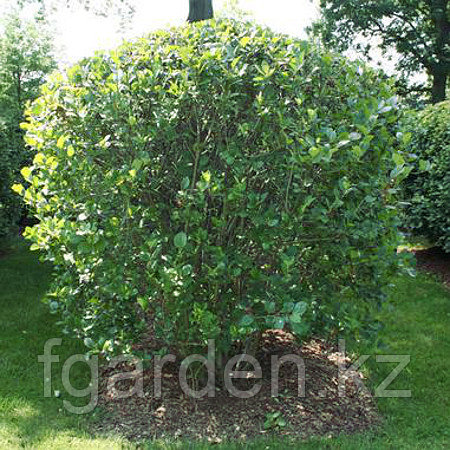 Ресейлік жатақханадағы жасырын камера порносы