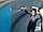 Гидроизоляция дома, подвала, стен, кровли, бассейна, погреба, емкостей полимочевиной (polyurea) в Алматы , фото 6