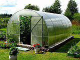 Что можно выращивать в теплице из поликарбоната?