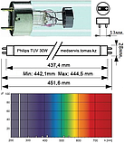Лампа бактерицидная Philips TUV 15W G13, фото 3