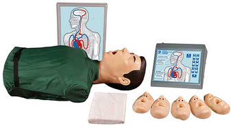 Робот тренажер для оказания первой помощи в ПО