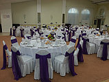 Оформление зала в фиолетовом цвете, фото 2