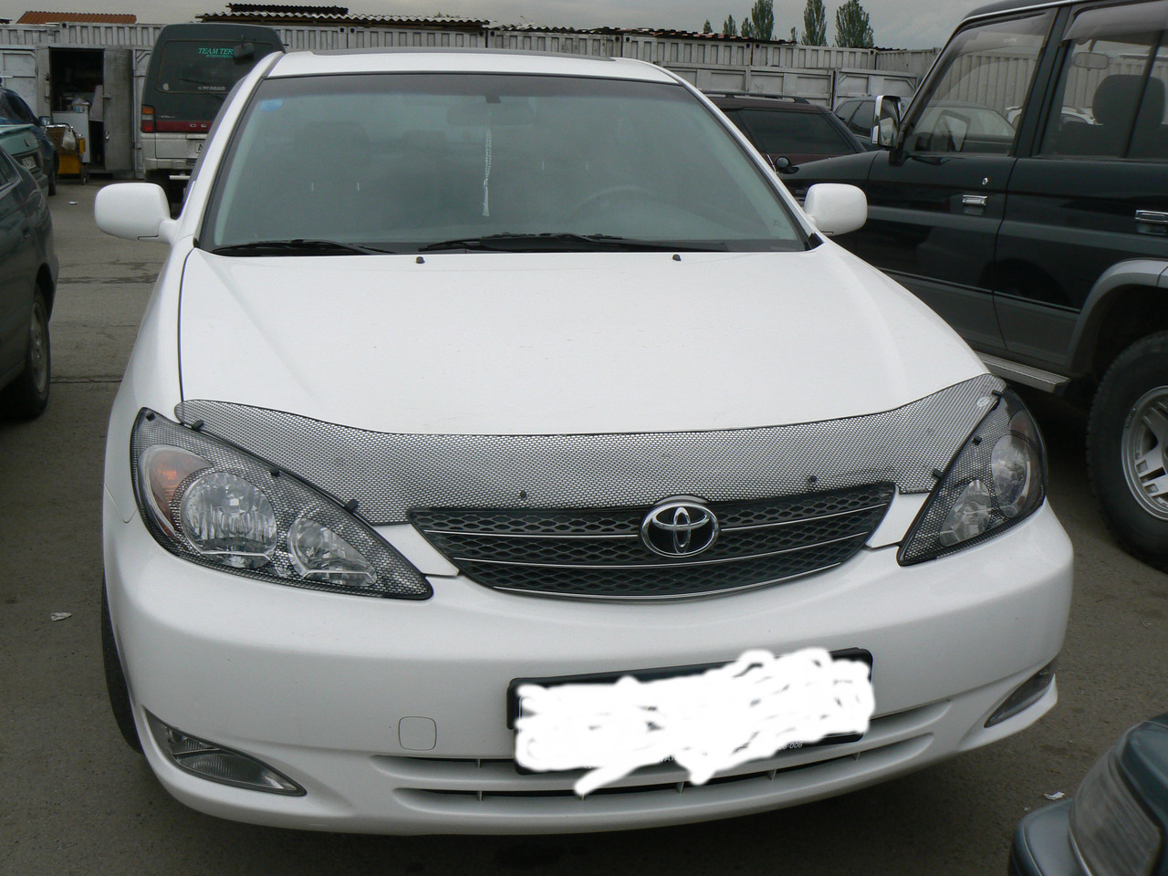 Мухобойка (дефлектор капота) Toyota Camry 30 2002-2003 (Carbon) - фото 1 - id-p28785074