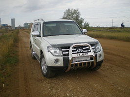 Мухобойка (дефлектор капота) EGR Mitsubishi Pajero 4 2007+ (Carbon)