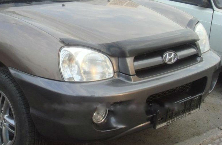 Мухобойка ( дефлектор капота ) Hyundai Santa Fe 2001-2006 - фото 1 - id-p28786223