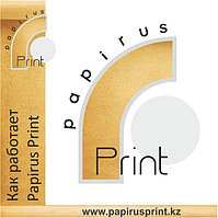 Как работает компания Papirus Print