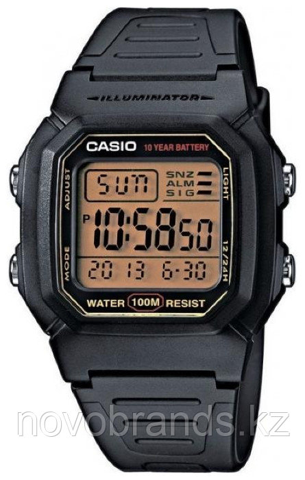 Спортивные часы Casio Sport W-800HG-9A